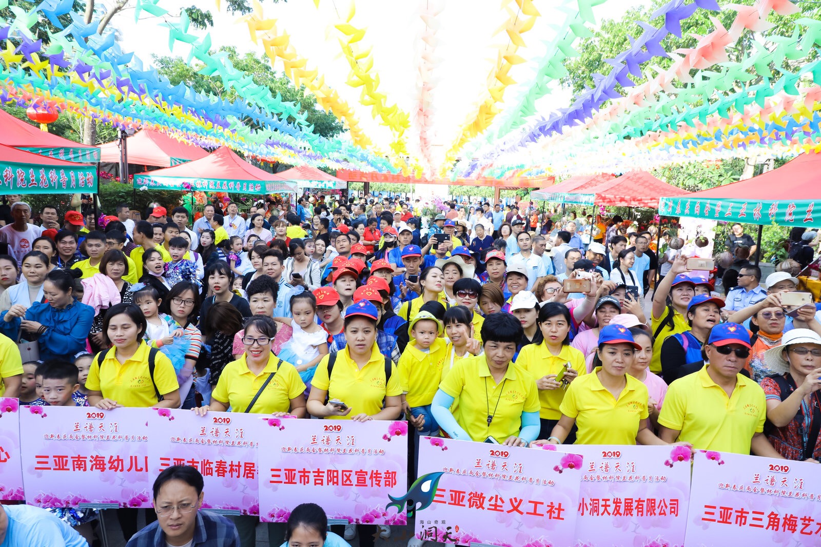 三亞迎春蘭花展在臨春嶺公園舉行 (8)