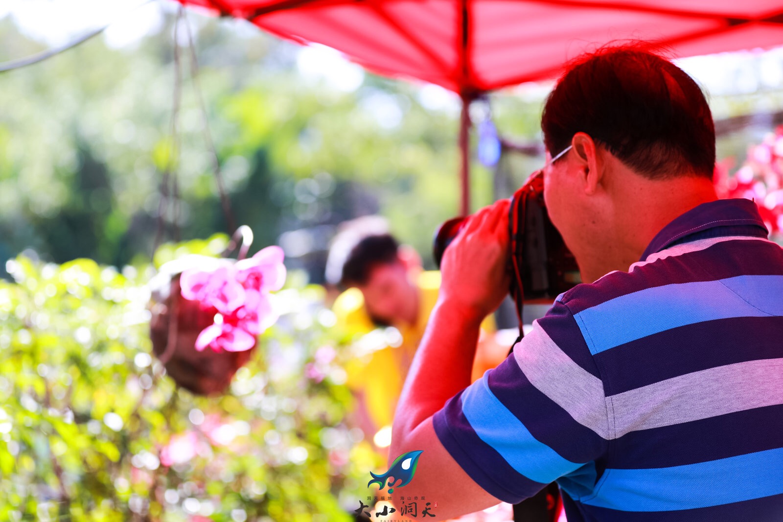 三亞迎春蘭花展在臨春嶺公園舉行，攝影愛好者在現(xiàn)場拍攝創(chuàng)作