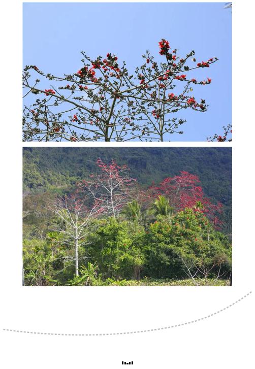 微信截圖_20190221112909