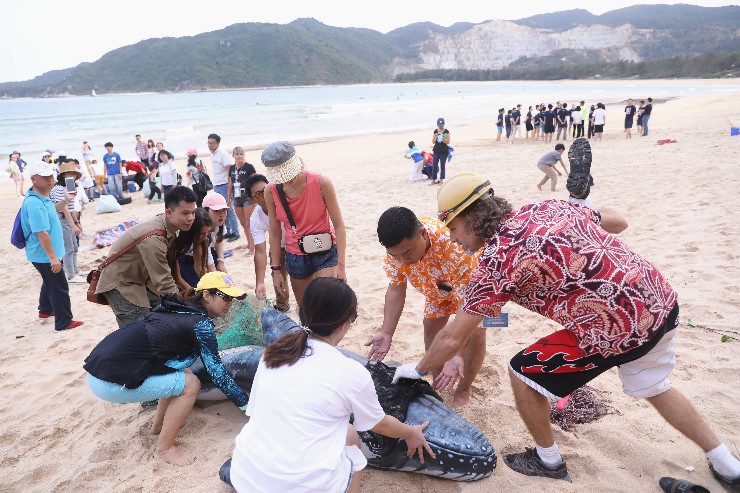 2月23日，志愿者在后海灣南部海灘區域撿拾垃圾-11