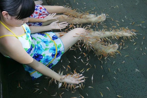 微信圖片_20190307110536 微信圖片_20190307110536