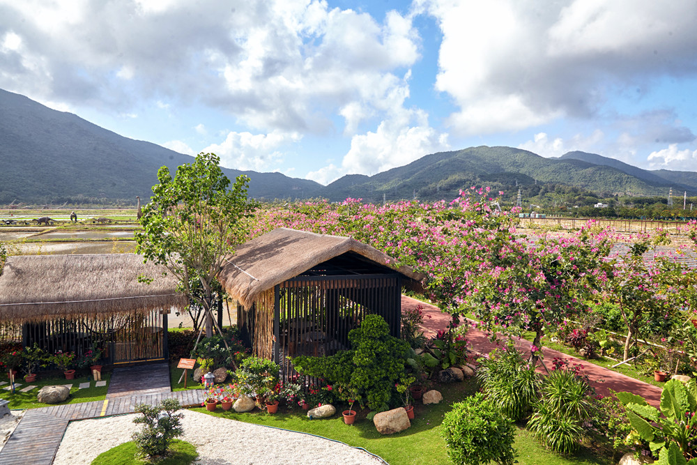 微信圖片_20190307110521 微信圖片_20190307110521