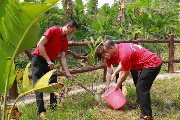 4、檳榔谷開展植樹活動(dòng)
