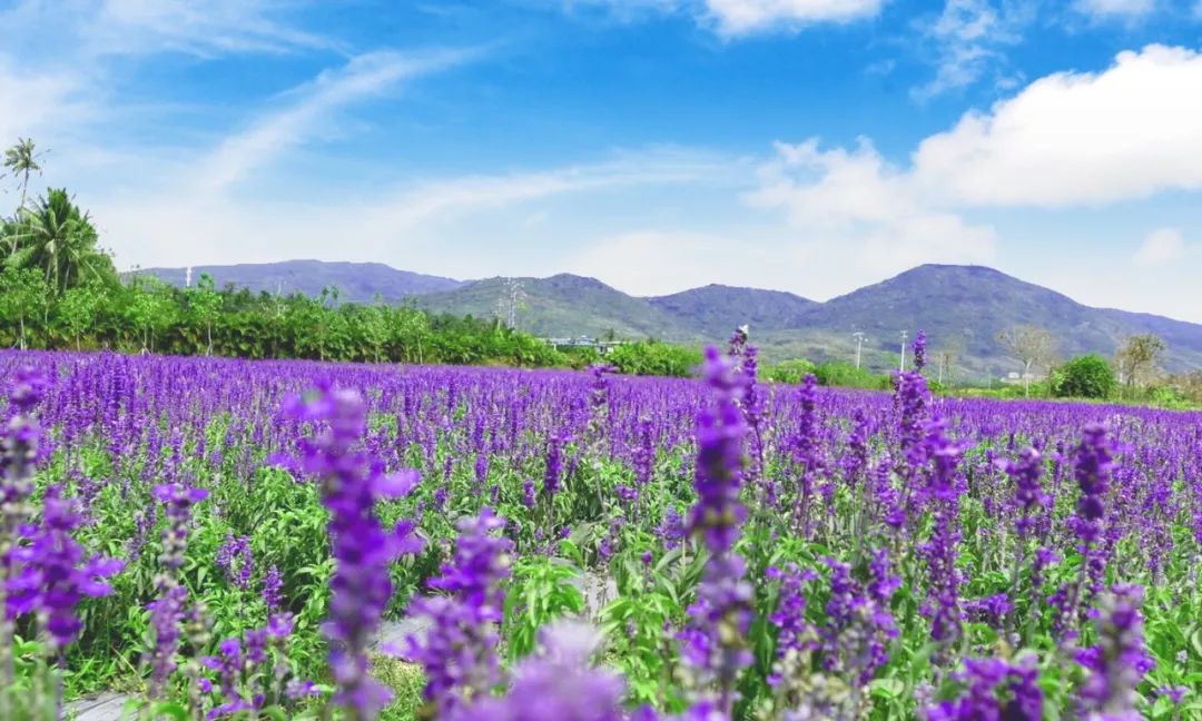 微信圖片_20190508110225