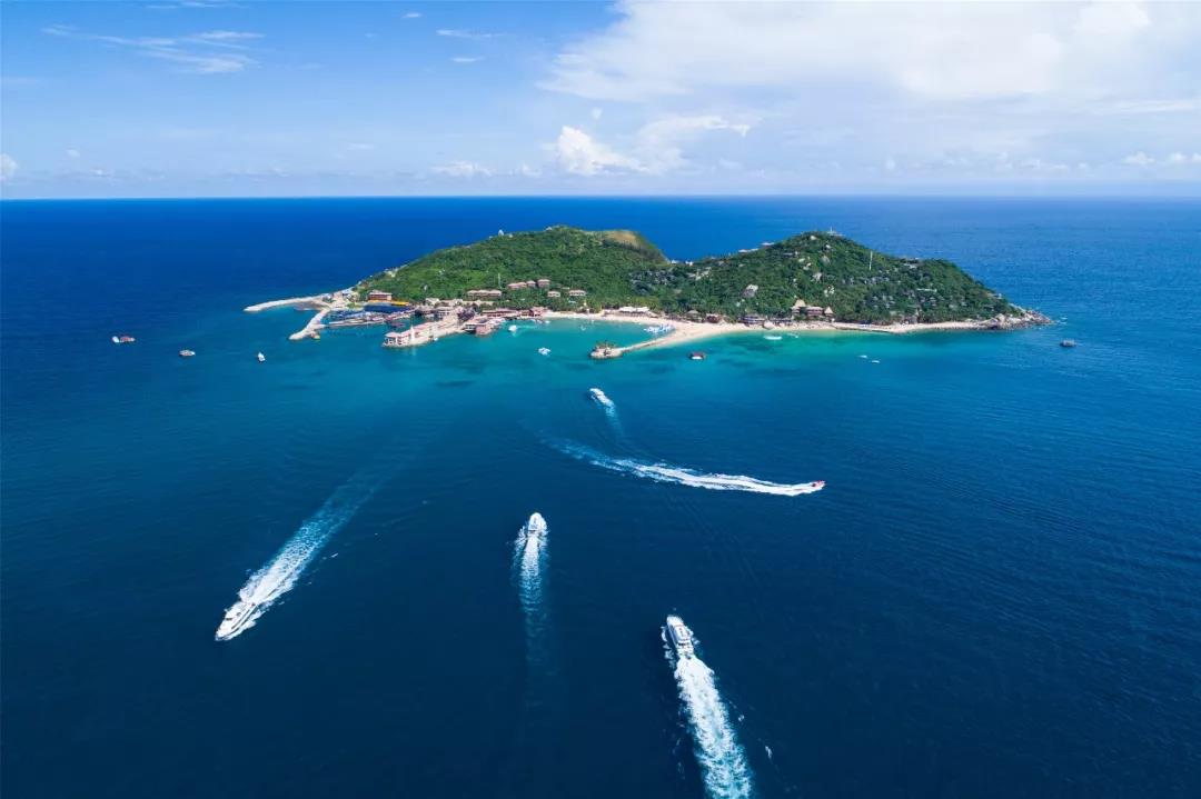 微信圖片_20190517145542 微信圖片_20190517145542