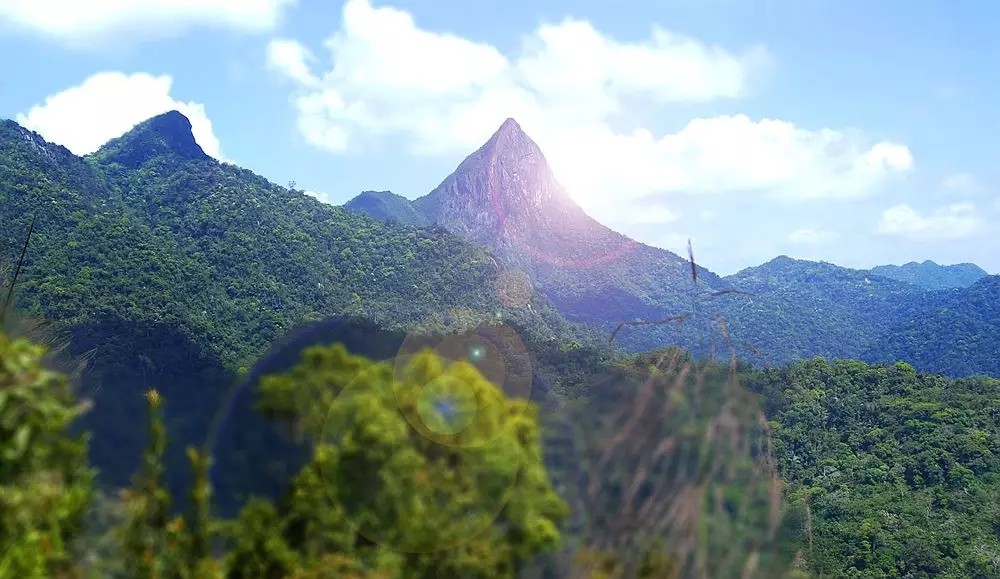 微信圖片_20190522113109