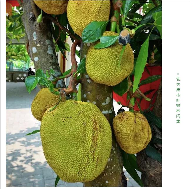 微信截圖_20190523181943 微信截圖_20190523181943