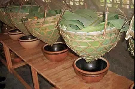 微信圖片_20190604095601