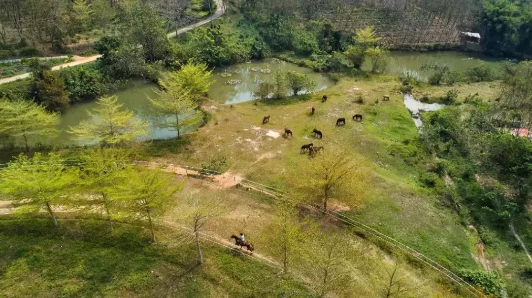 微信圖片_20190605151305 微信圖片_20190605151305