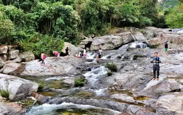 微信圖片_20190605150909 微信圖片_20190605150909