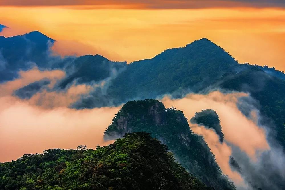 微信圖片_20190624180119