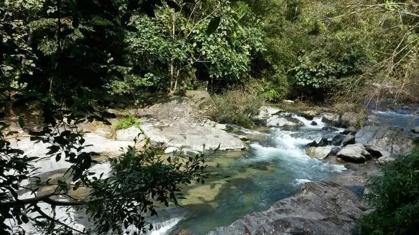 微信圖片_20190624180122