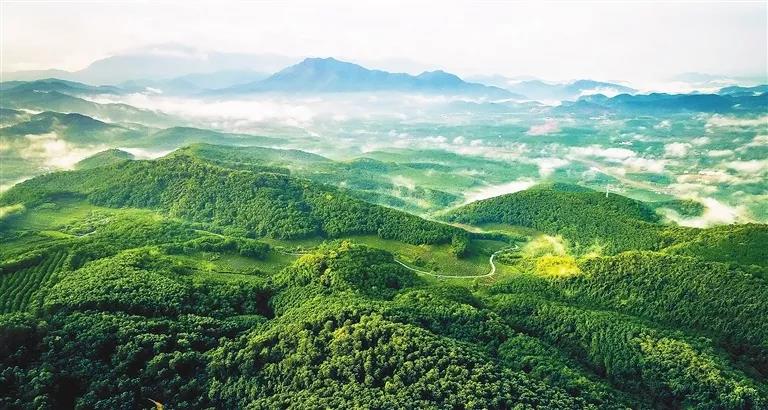 微信圖片_20190624180023