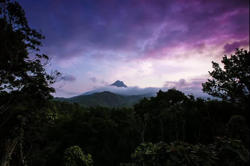 微信圖片_20190624180043