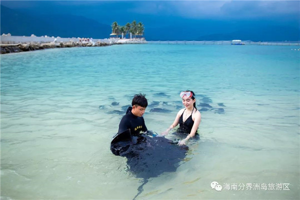 微信圖片_20190701175800 微信圖片_20190701175800