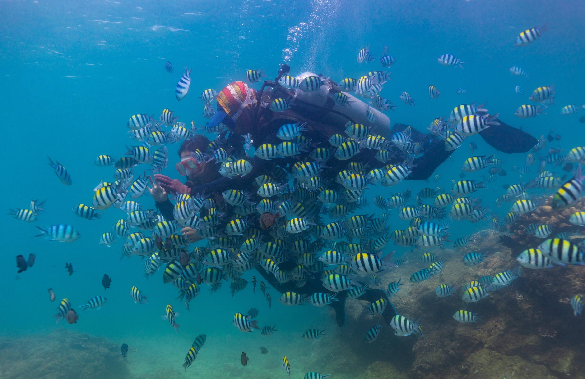 微信圖片_20190707101047