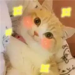 微信圖片_20190709102631