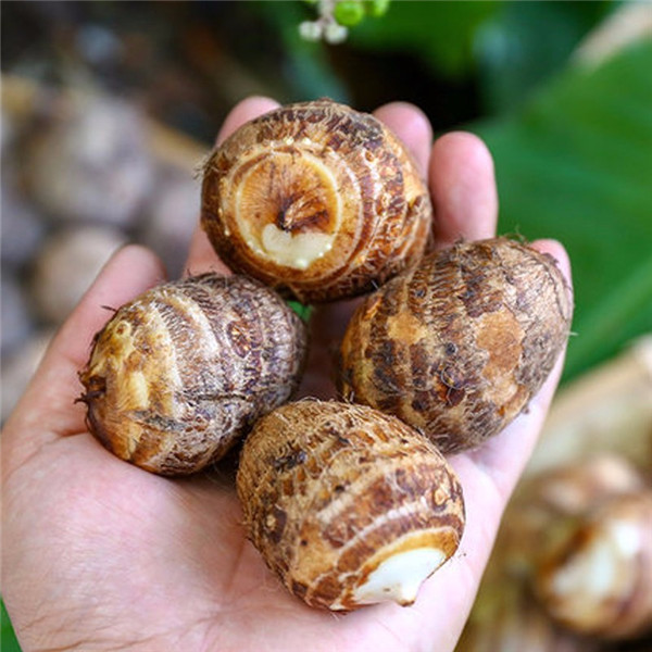 微信圖片_20190709171538 微信圖片_20190709171538