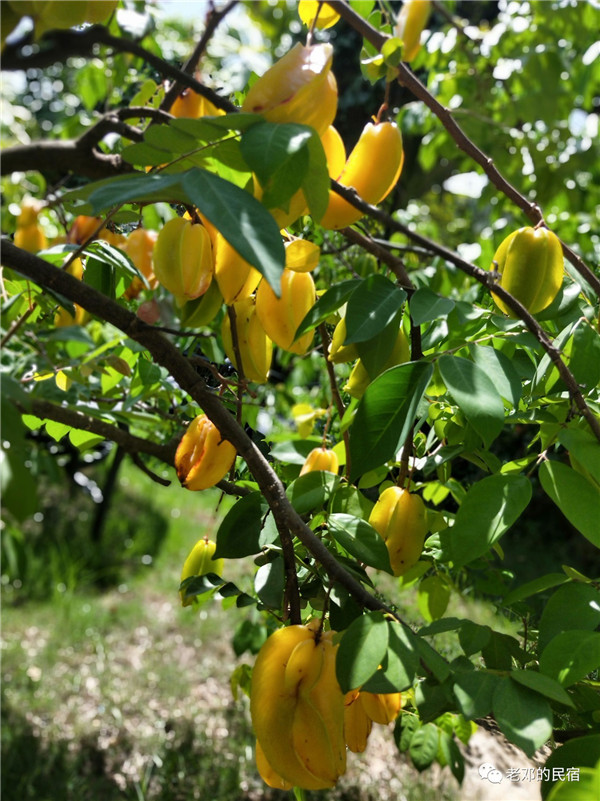 微信圖片_20190710084615 微信圖片_20190710084615