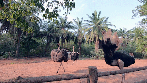 微信圖片_20190718153605 微信圖片_20190718153605