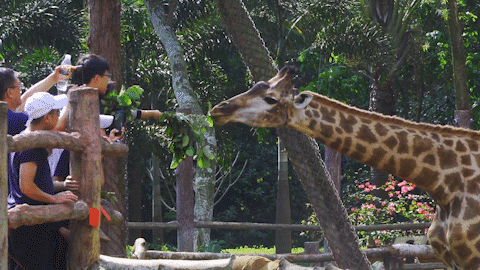 微信圖片_20190718153637 微信圖片_20190718153637