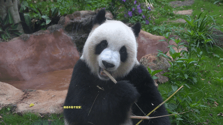 微信圖片_20190718153627 微信圖片_20190718153627