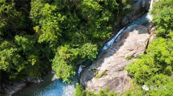 微信圖片_20190801085336