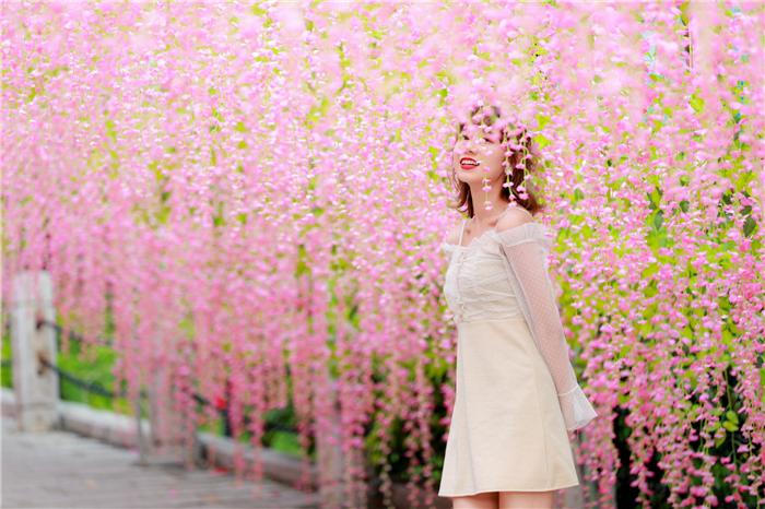 藤蘿花長(zhǎng)廊下打卡2