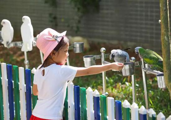 微信圖片_20191001095441 微信圖片_20191001095441