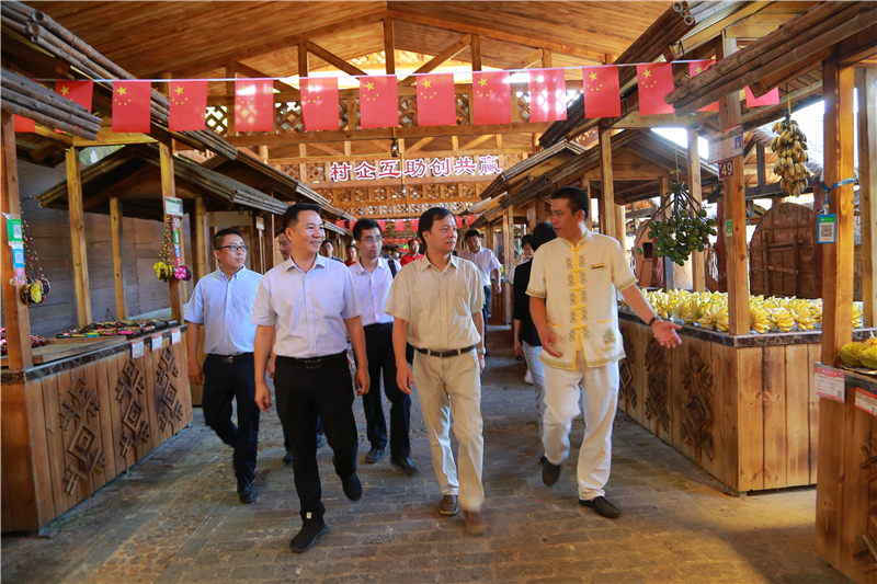 8、海南省商務(wù)廳黨組書記、廳長陳希一行到檳榔谷調(diào)研