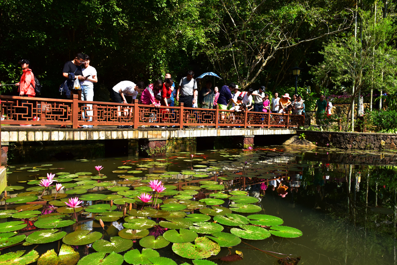 微信圖片_20191121102213 微信圖片_20191121102213