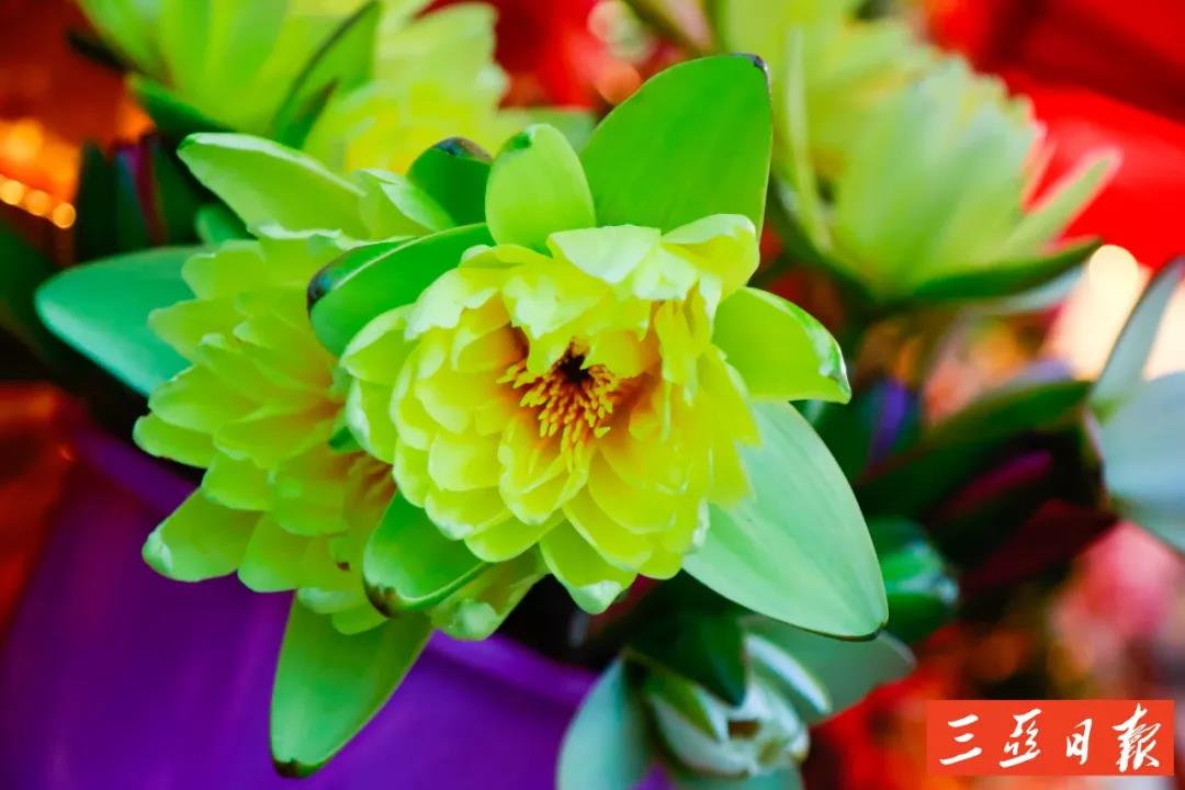 微信圖片_20191205171651