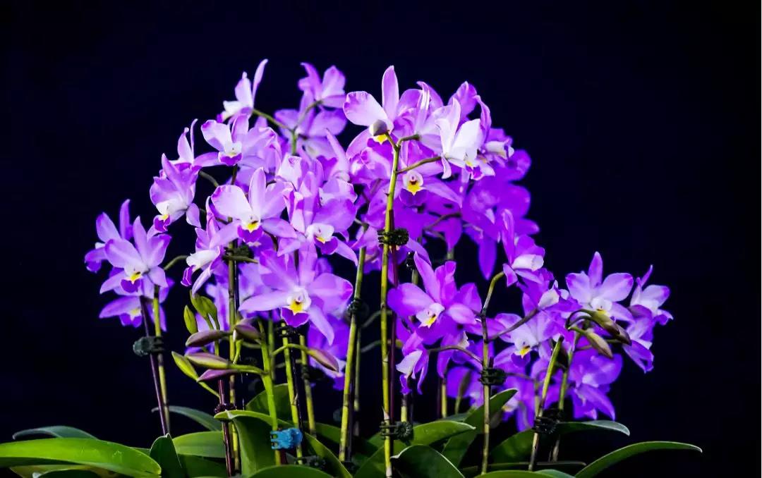 微信圖片_20191231150206 微信圖片_20191231150206