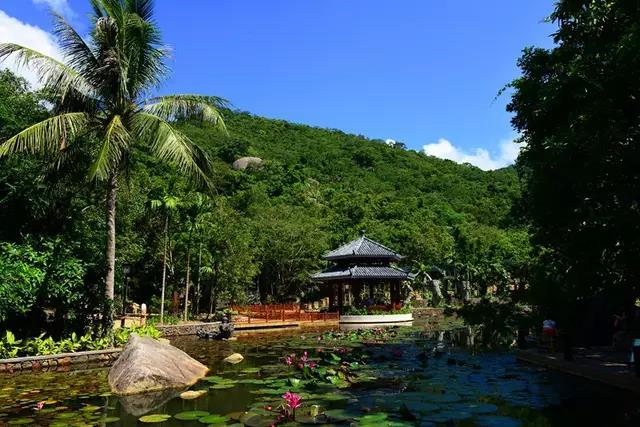 微信圖片_20200304094833 微信圖片_20200304094833