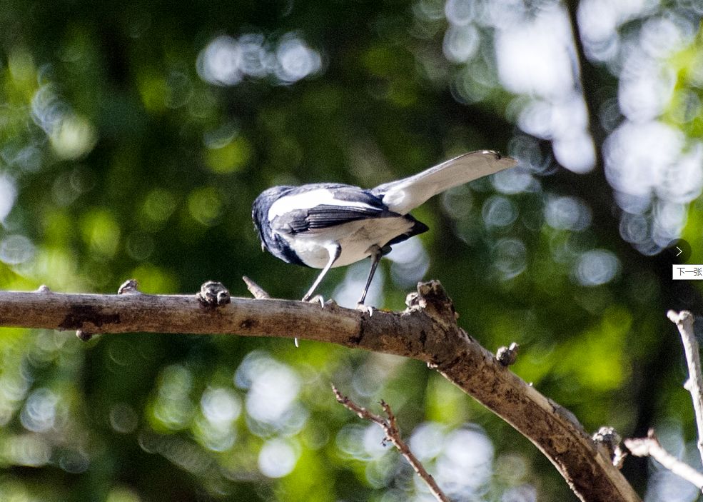 微信圖片_20200313203153 微信圖片_20200313203153