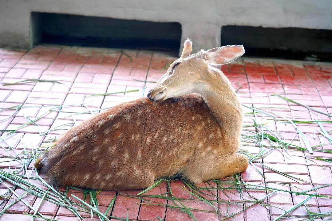 微信圖片_20200315115046