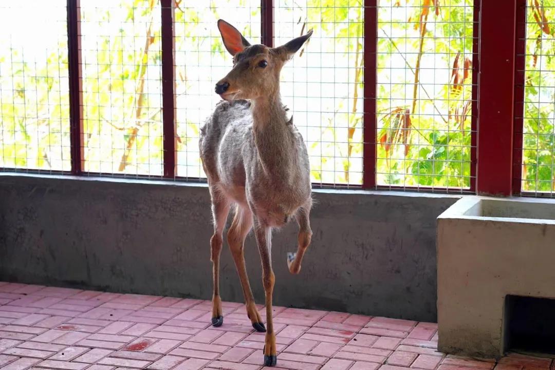 微信圖片_20200315115059