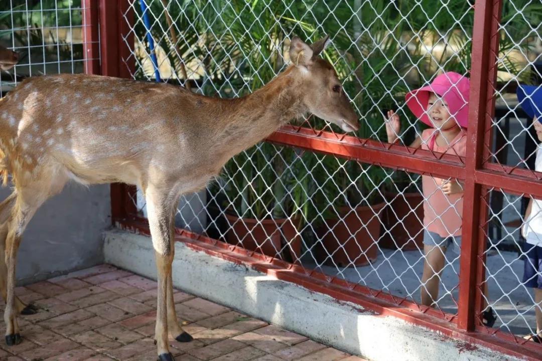 微信圖片_20200315115115