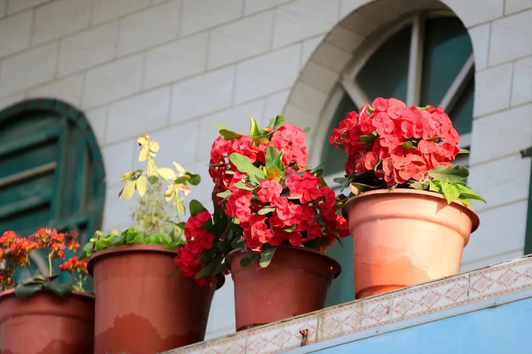 微信圖片_20200326094222