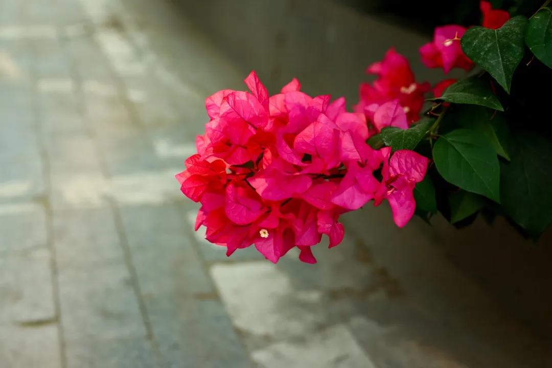 微信圖片_20200326094137