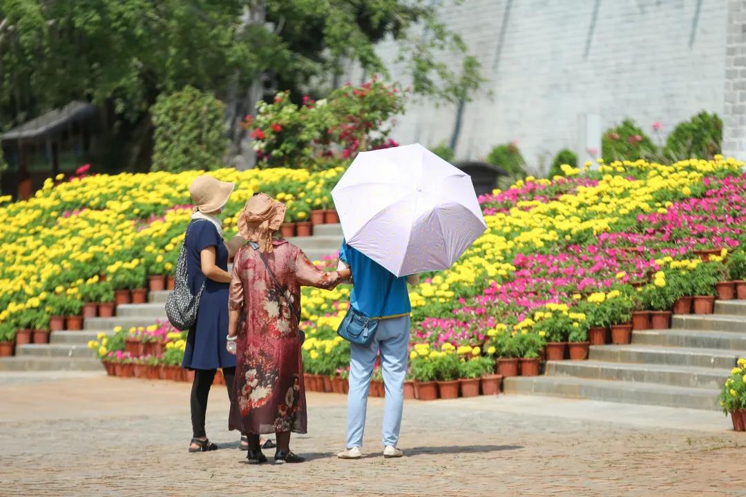 微信圖片_20200326094250