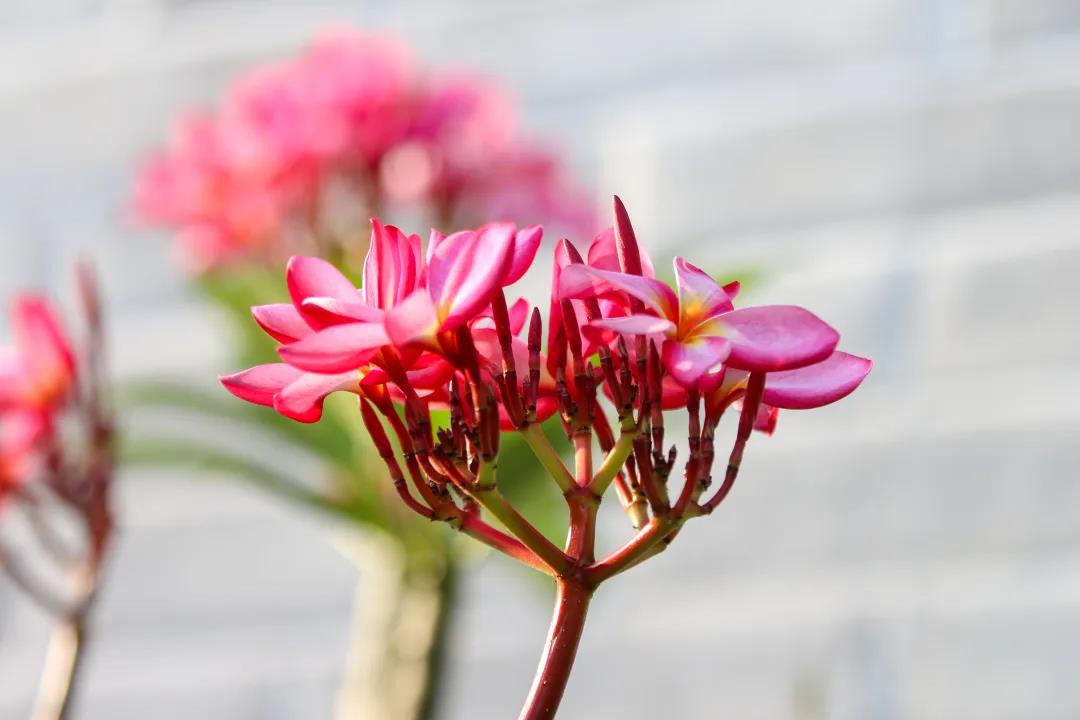 微信圖片_20200326094150