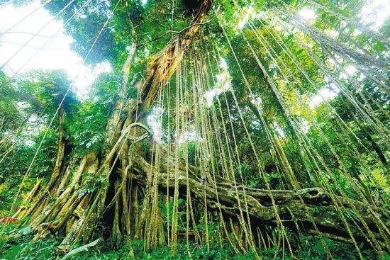 n2qgfDF2_NHIc n2qgfDF2_NHIc