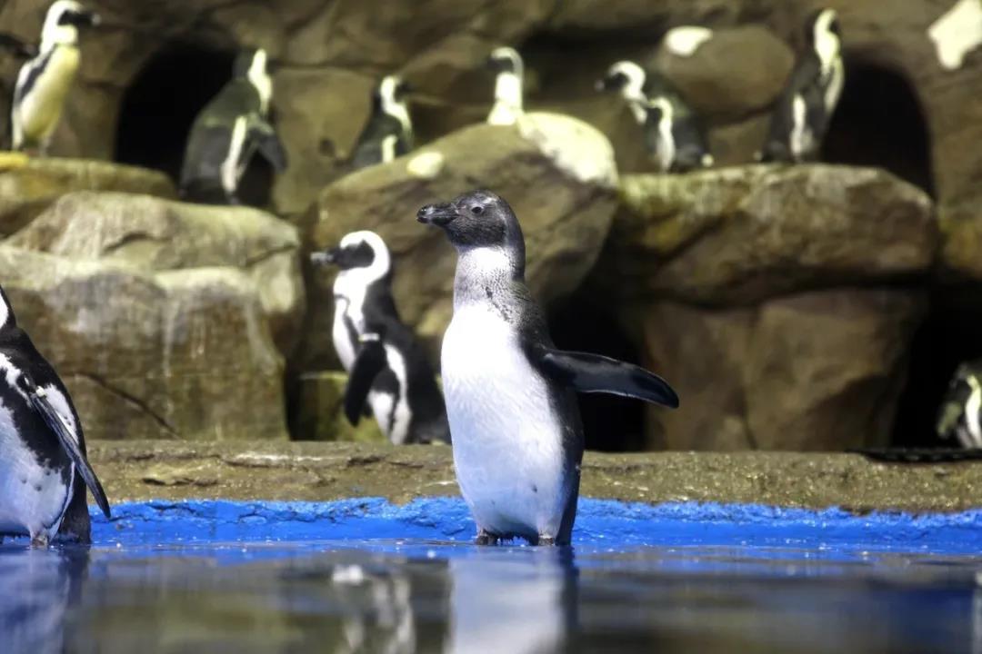 微信圖片_20200501125320