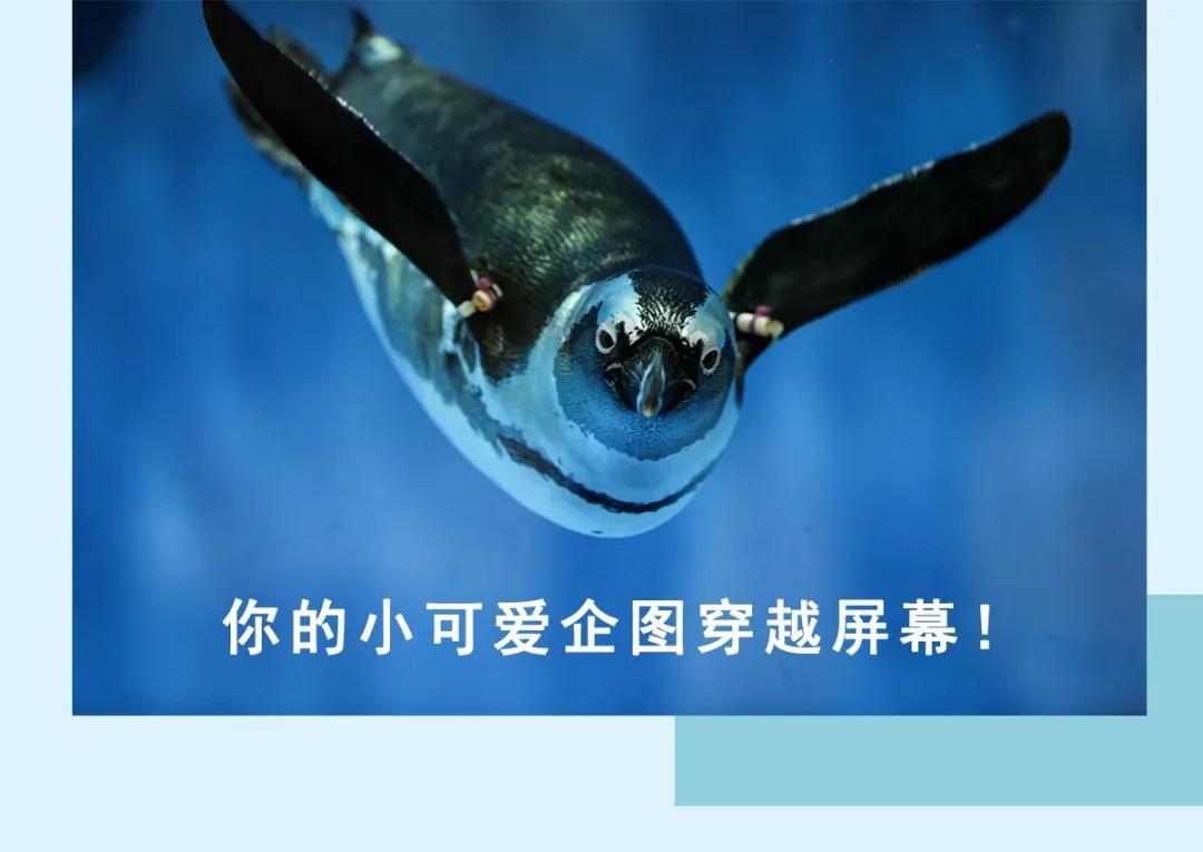 微信圖片_20200501125159