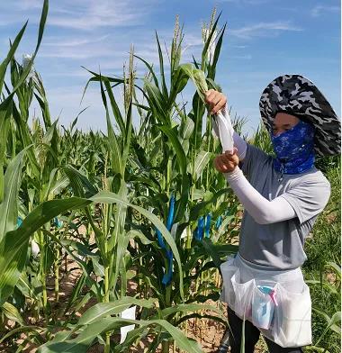 微信圖片_20200506144723