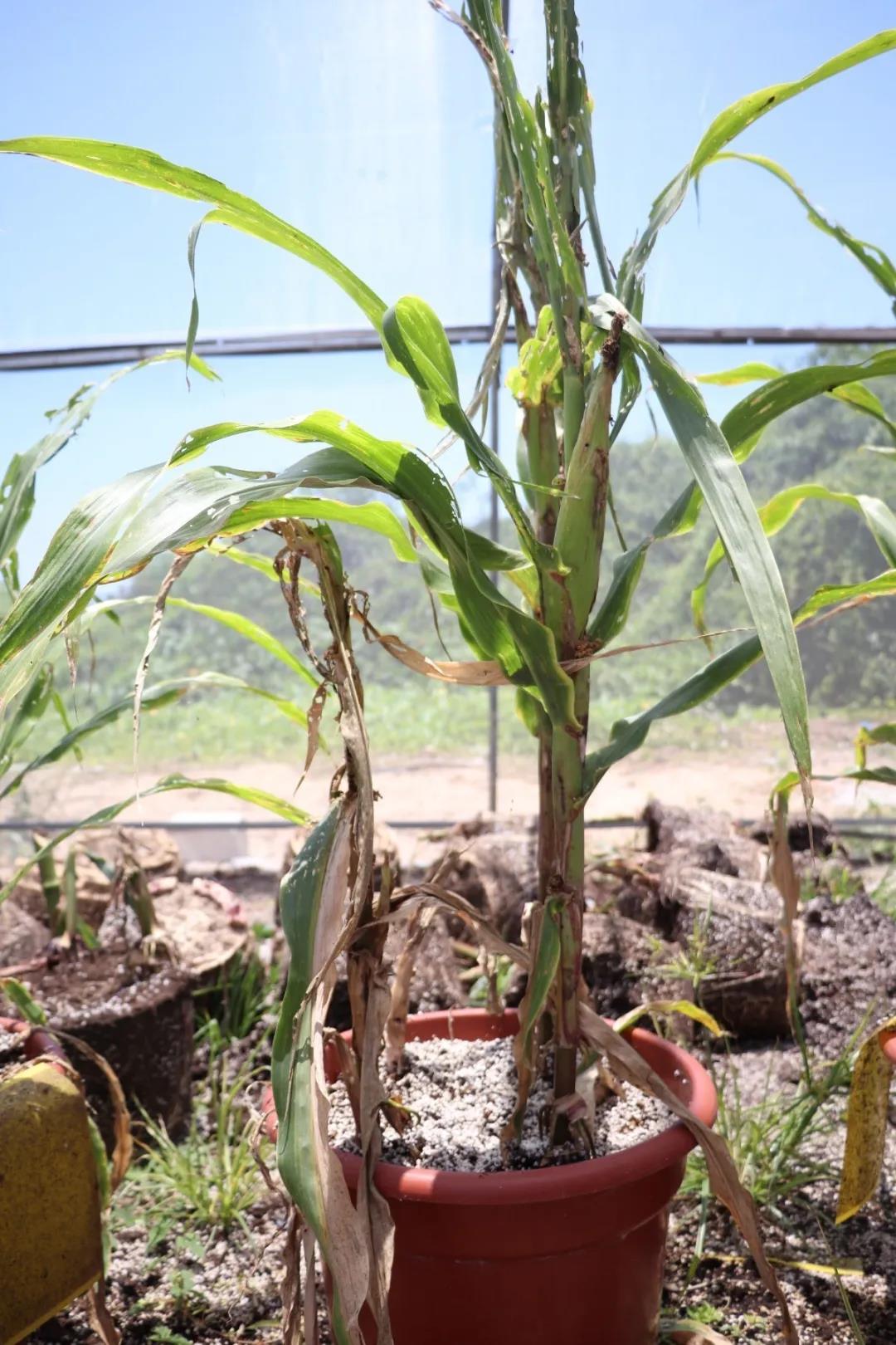 微信圖片_20200506144649