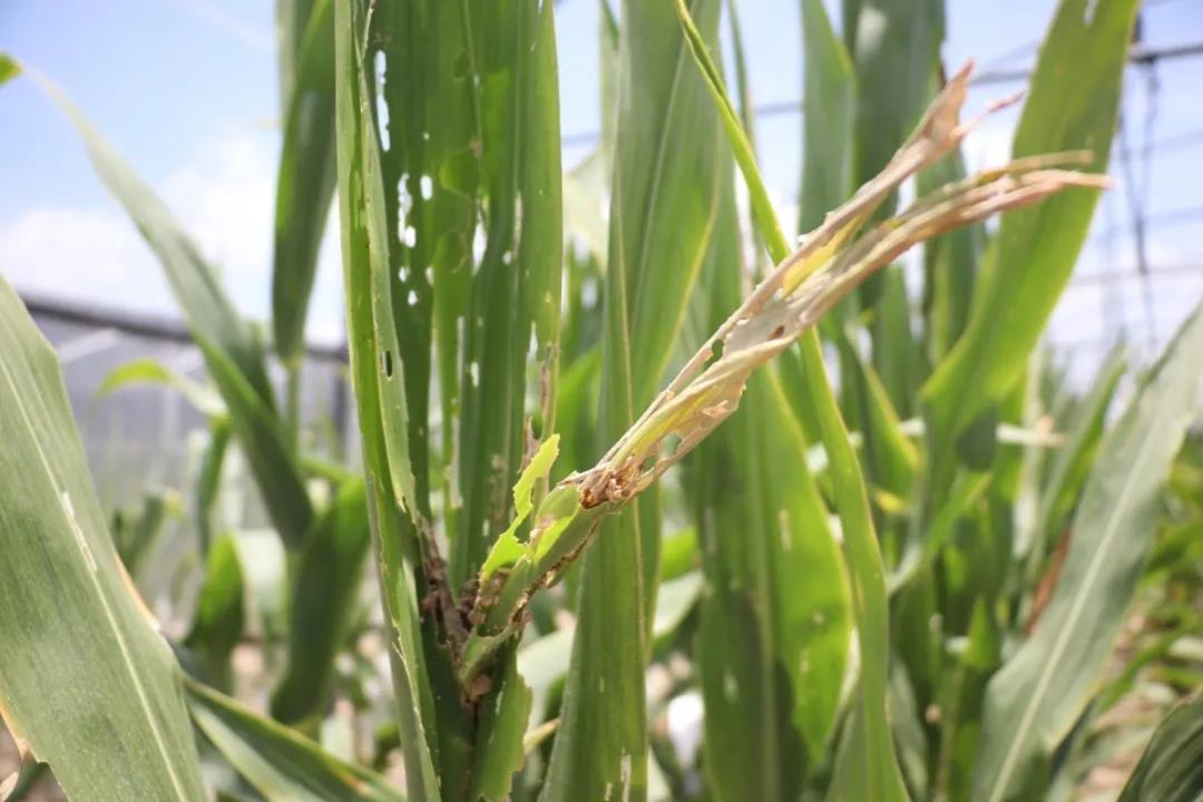 微信圖片_20200506144710