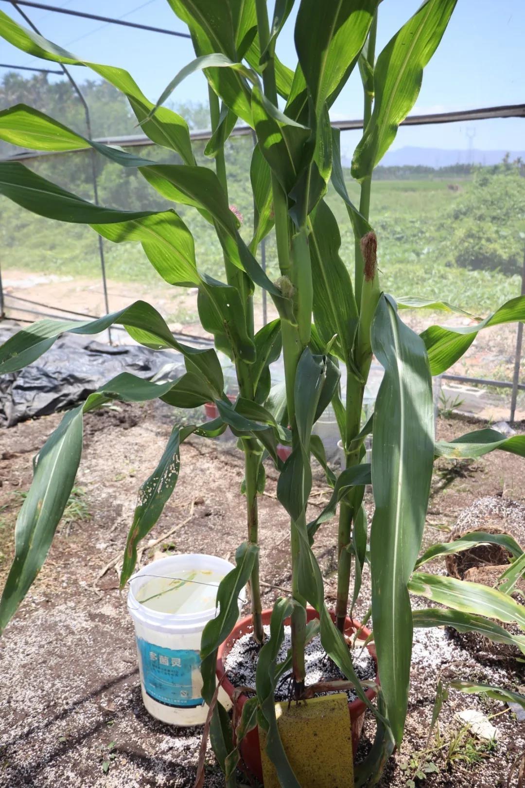 微信圖片_20200506144643