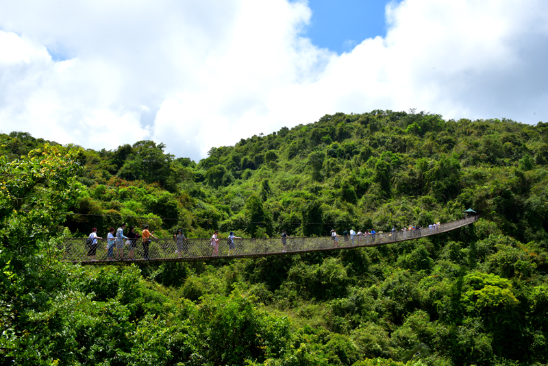 微信圖片_20200602092507